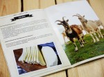 Broszura informacyjna Serowar.pl