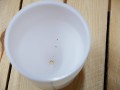 Forma Tetilla