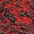 Borůvka - ovocná příprava, 3 kg