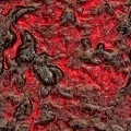Borůvka BIO – ekologická ovocná náplň, 3 kg